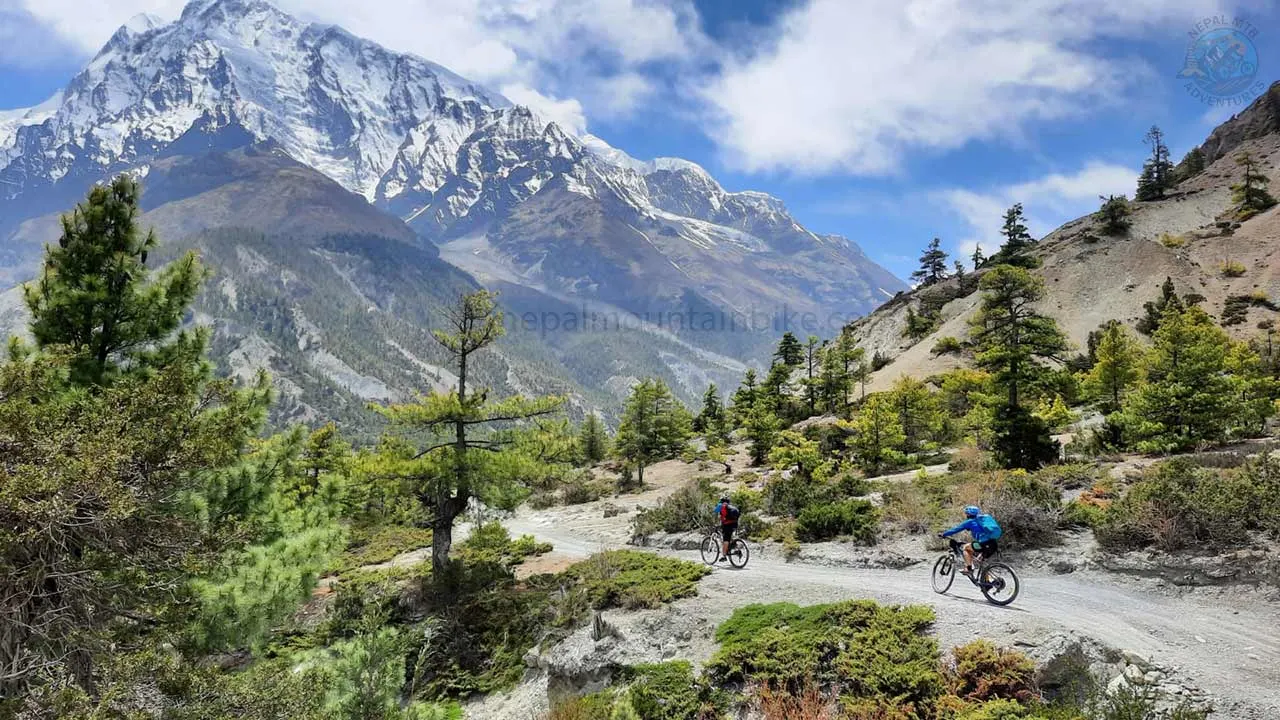 Mountain bikers riding towards Manang during Round Annapurna MTB expedition.